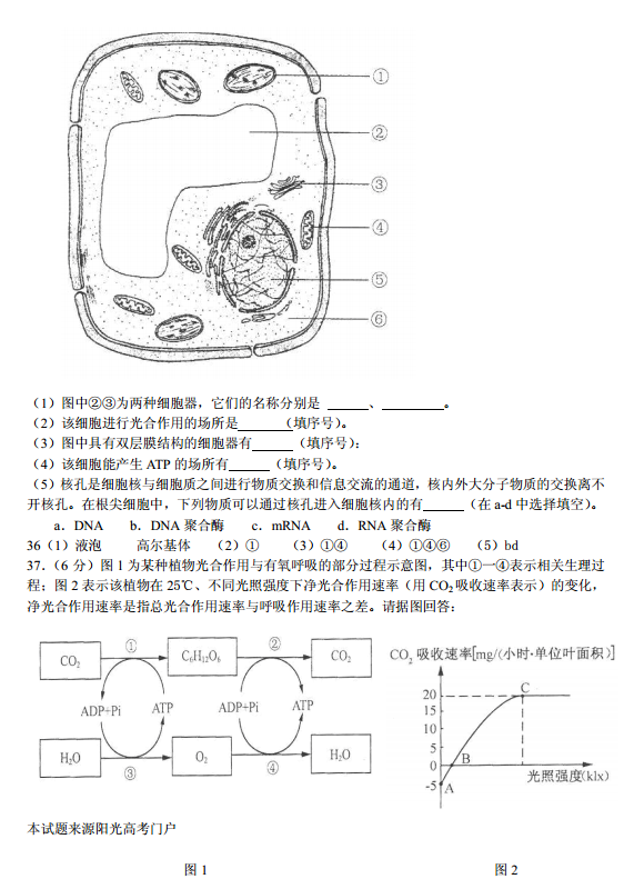 2014年江苏小高考生物考试试题答案下载