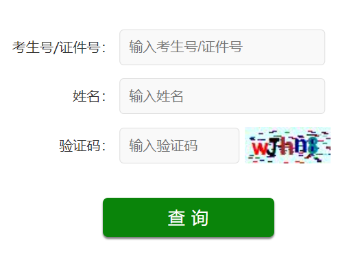 山东省成人高考成绩查询