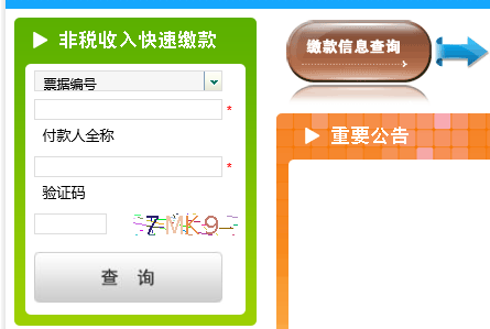 山东财政非税统缴平台