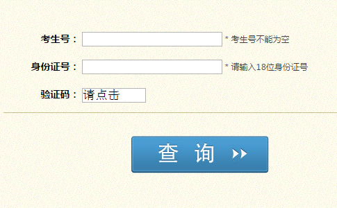 四川省教育考试院高考成绩查询