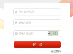 2025年人教版义务教育新教材网络