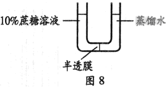 2014年6月广东学业水平测试试题 广东高中学业水平考试生物答案