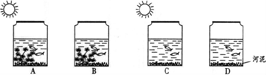 2014年6月广东学业水平测试试题 广东高中学业水平考试生物答案