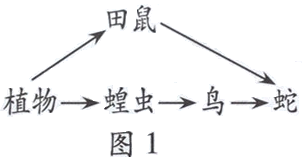 2014年6月广东学业水平测试试题 广东高中学业水平考试生物答案