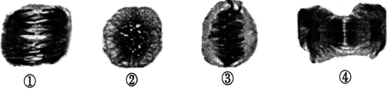 2014年6月广东学业水平测试试题 广东高中学业水平考试生物答案