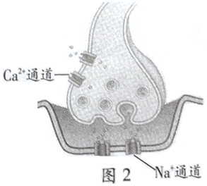 2014年6月广东学业水平测试试题 广东高中学业水平考试生物答案