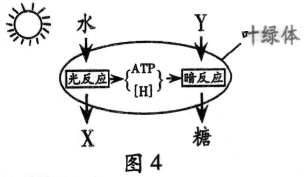 2014年6月广东学业水平测试试题 广东高中学业水平考试生物答案